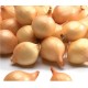 Onions Seedling Sturon 14/21 Mm 10 Kg