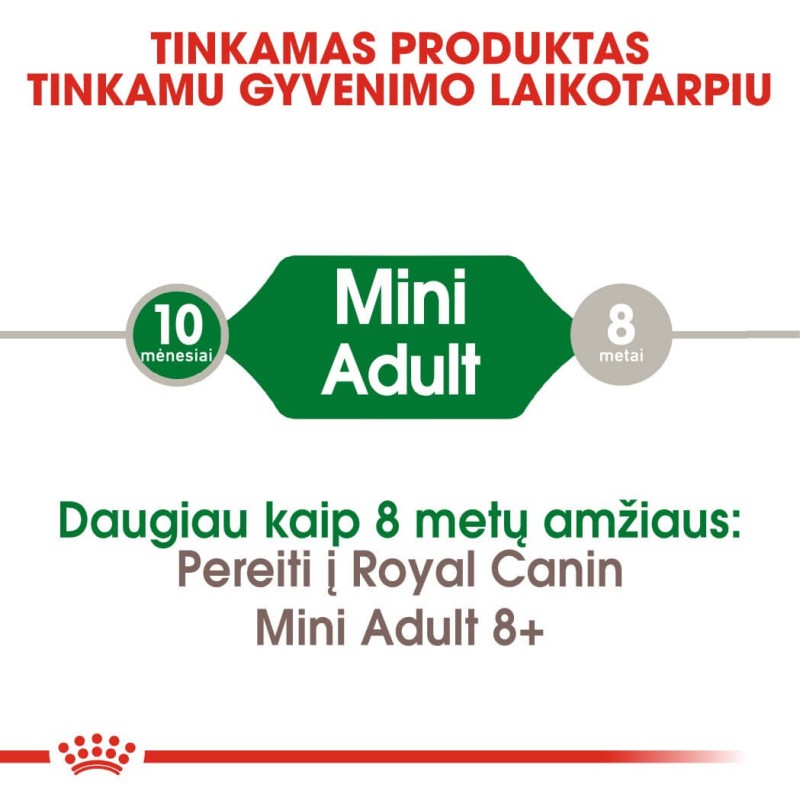 Royal Canin Mini Täiskasvanud Koeratoit 2kg