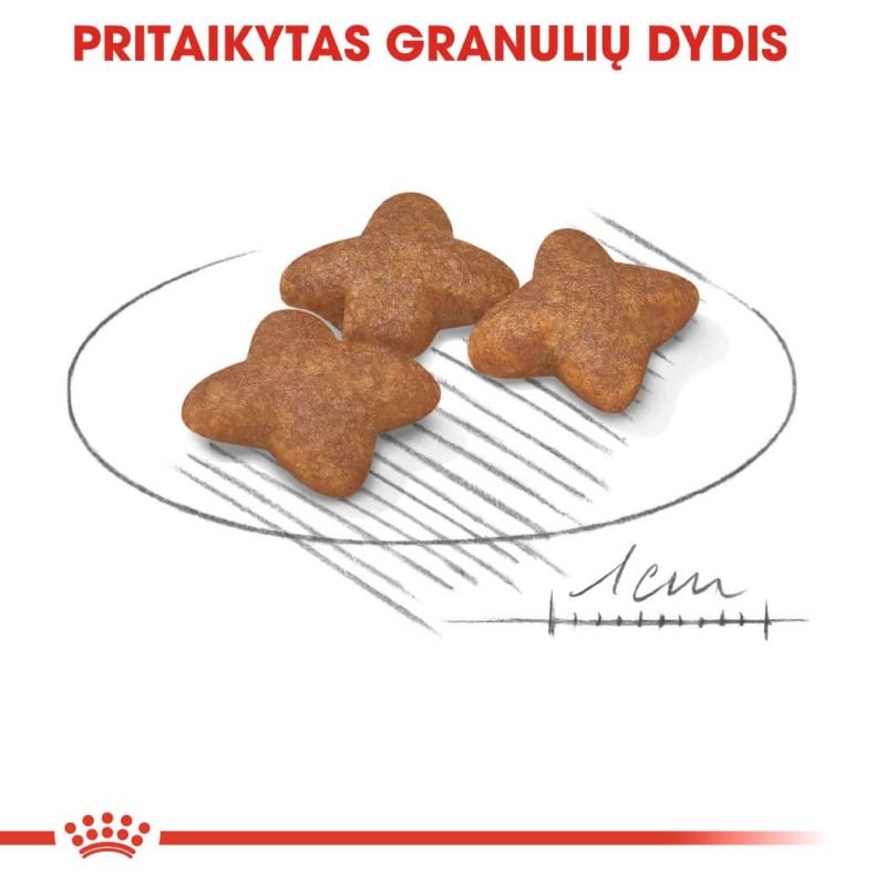 Royal Canin Mini Täiskasvanud Koeratoit 2kg