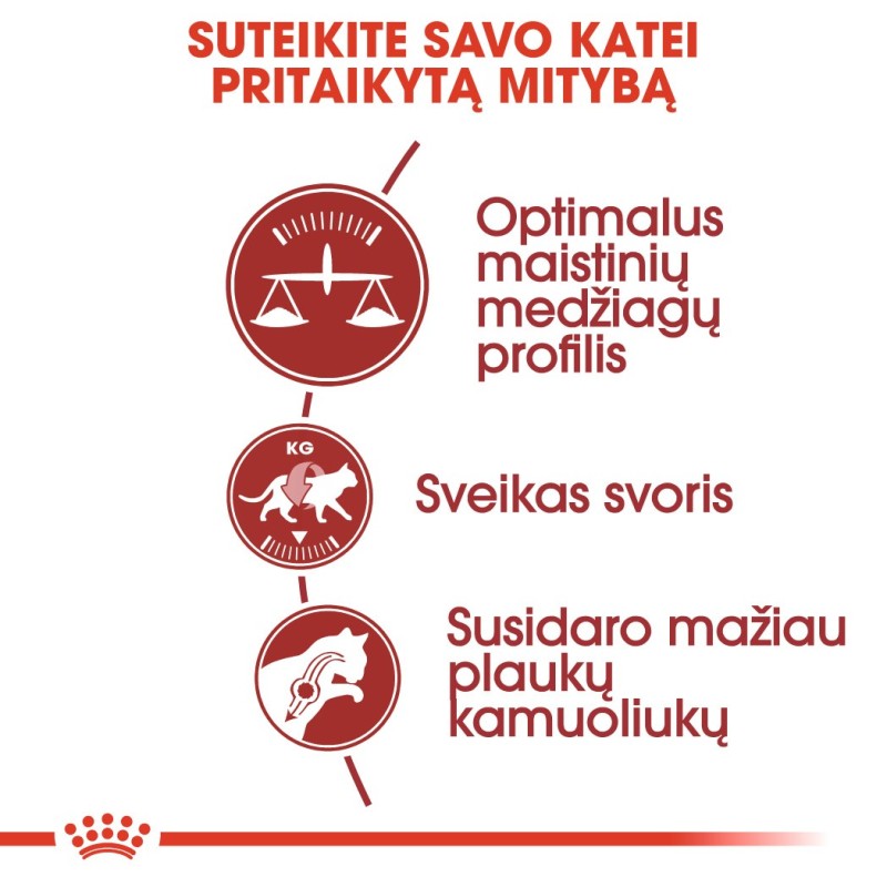 Royal Canin FHN 4kg kassidele