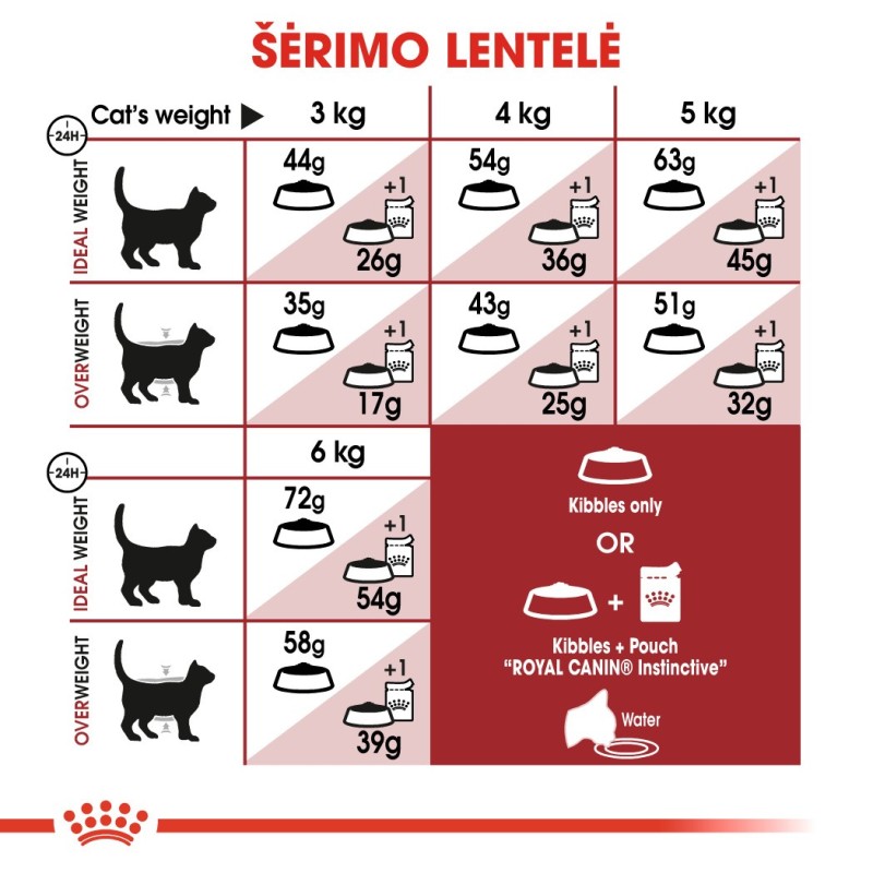 Royal Canin FHN 4kg kassidele