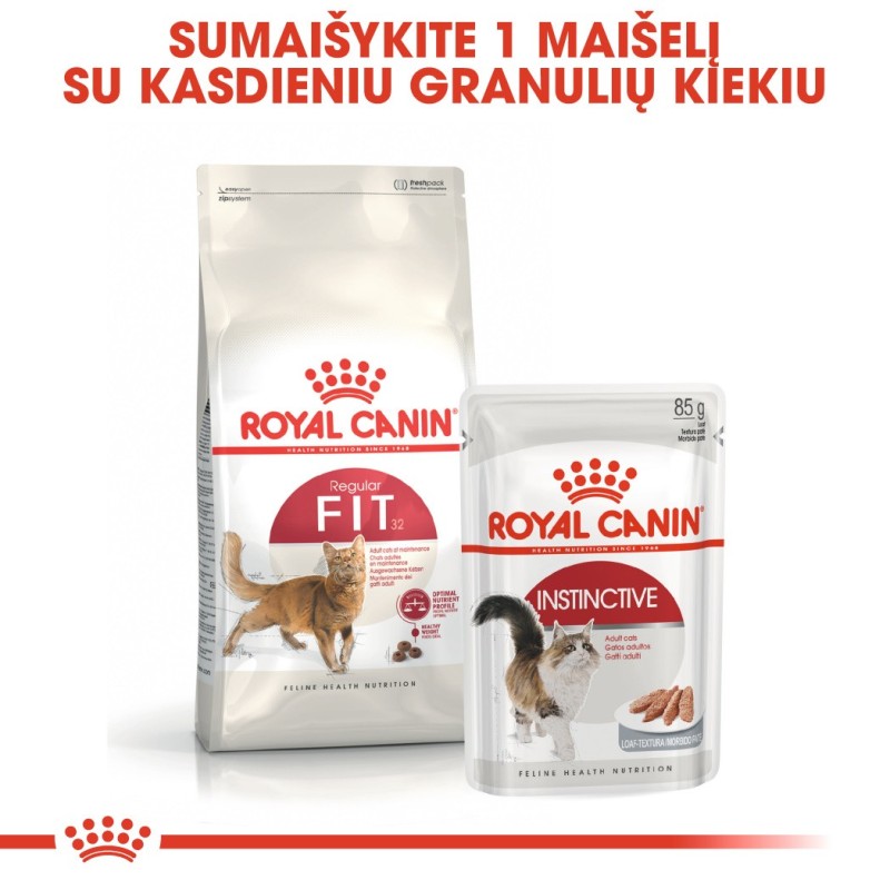 Royal Canin FHN 4kg kassidele