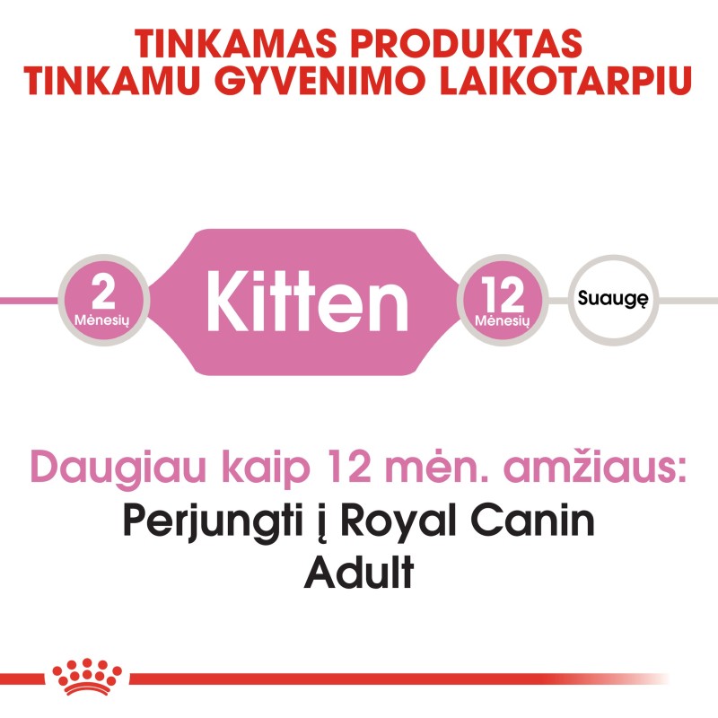 Royal Canin FHN 4kg Kassisööt