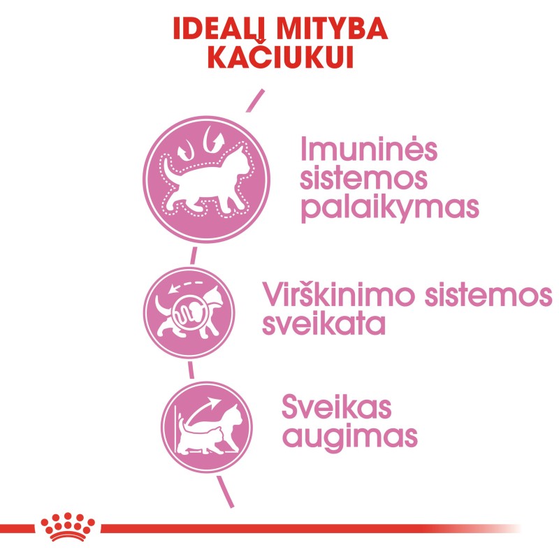 Royal Canin FHN 4kg Kassisööt