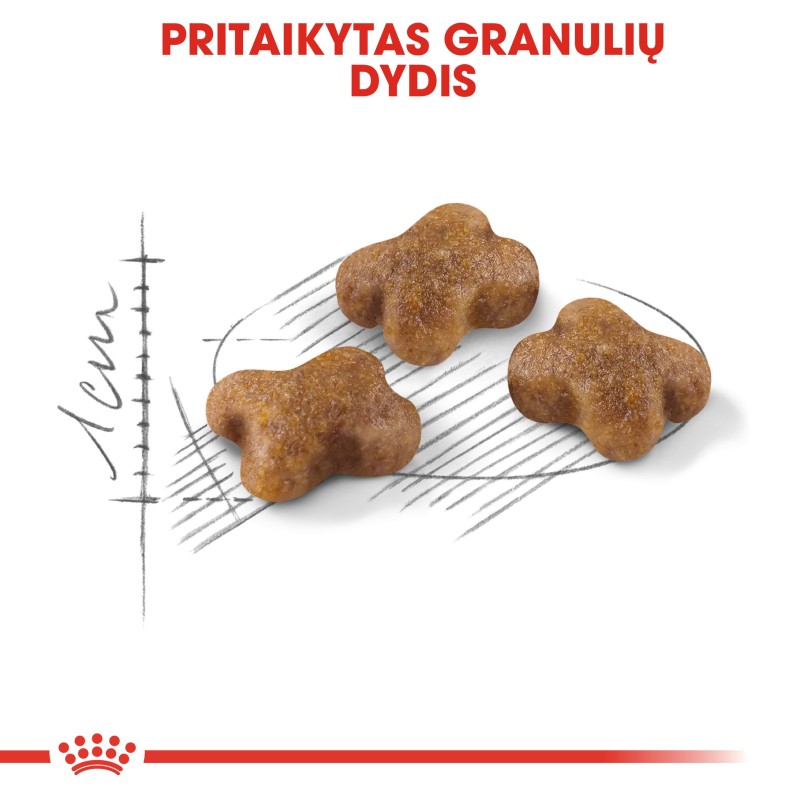 Royal Canin FHN 4kg Kassisööt