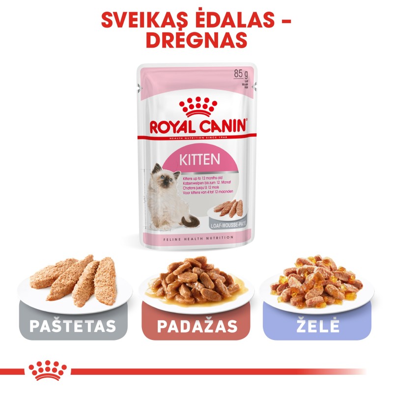 Royal Canin FHN 4kg Kassisööt