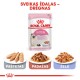 Royal Canin FHN 4kg Kassisööt