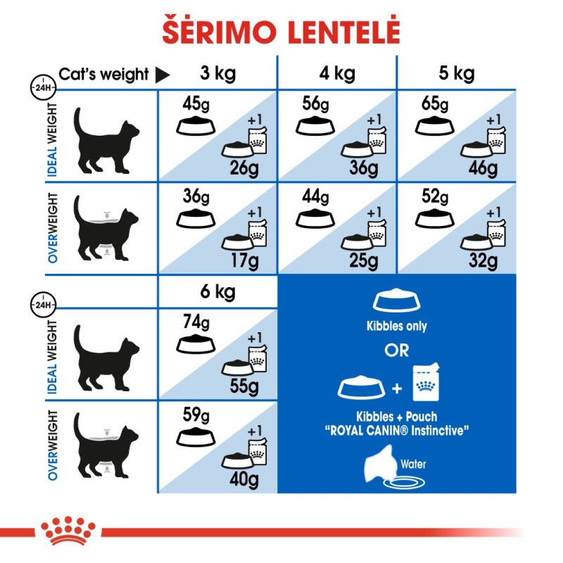Royal Canin Indoor 0,4kg kassidele