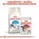 Royal Canin Indoor 0,4kg kassidele