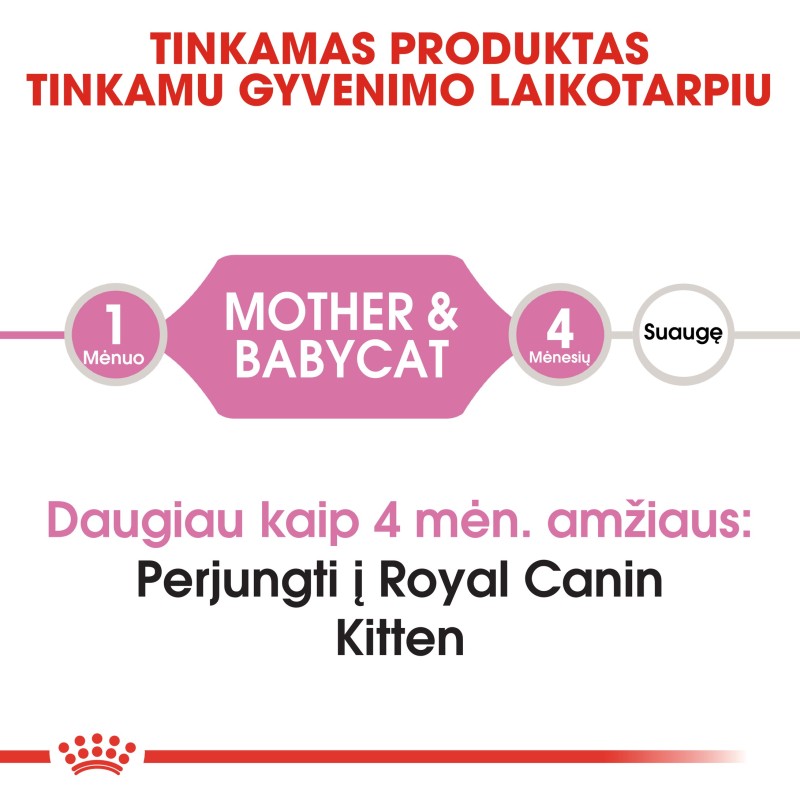 Royal Canin FHN 4kg Ema ja Kutsika Toit