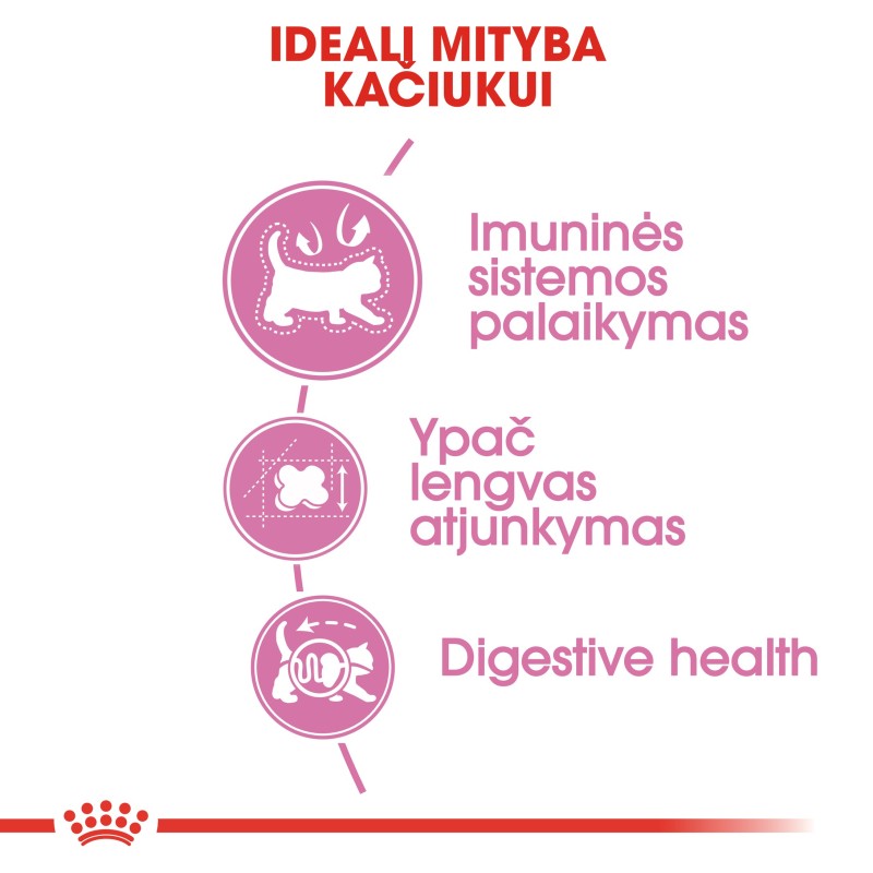 Royal Canin FHN 4kg Ema ja Kutsika Toit