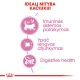 Royal Canin FHN 4kg Ema ja Kutsika Toit