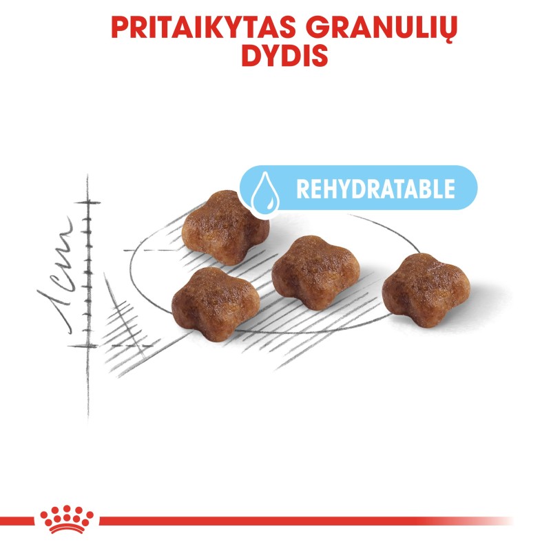 Royal Canin FHN 4kg Ema ja Kutsika Toit