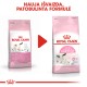 Royal Canin FHN 4kg Ema ja Kutsika Toit