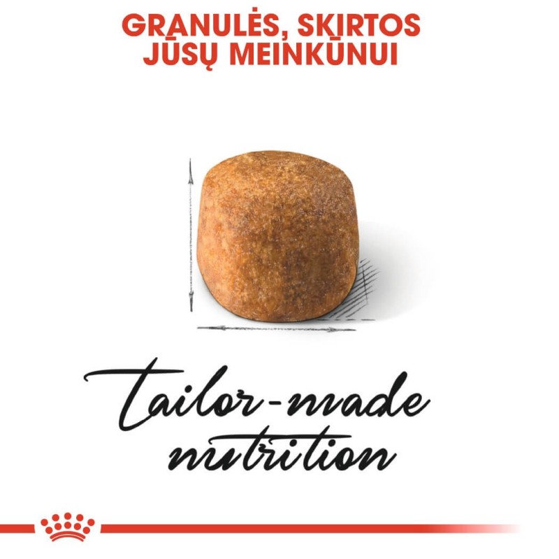 Royal Canin Maine Coon Kuivtoit 2kg