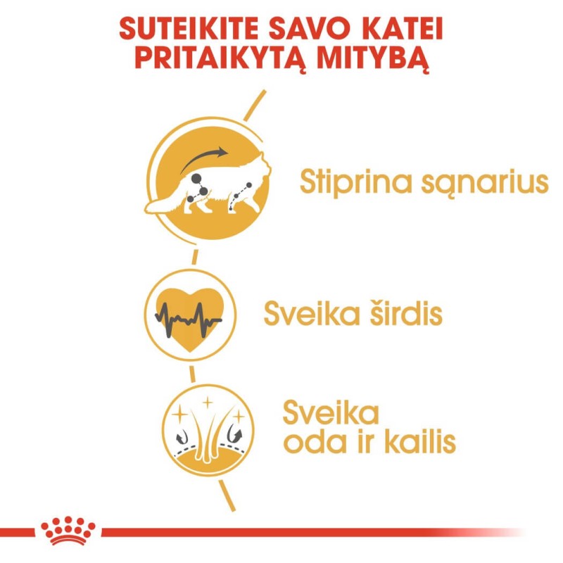 Royal Canin Maine Coon Kuivtoit 2kg