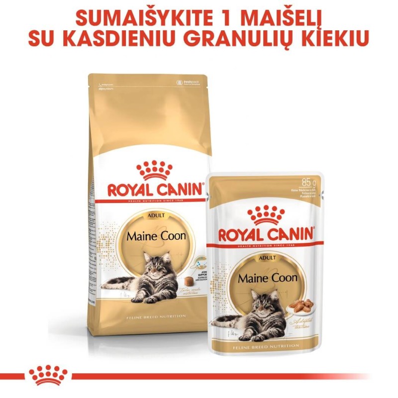 Royal Canin Maine Coon Kuivtoit 2kg