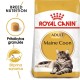 Royal Canin Maine Coon Kuivtoit 2kg