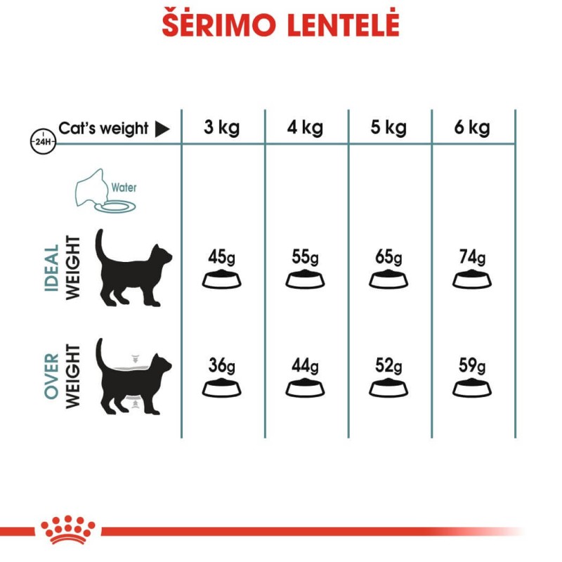 Royal Canin 2kg juuste pallide hooldus kassidele