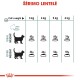 Royal Canin 2kg juuste pallide hooldus kassidele