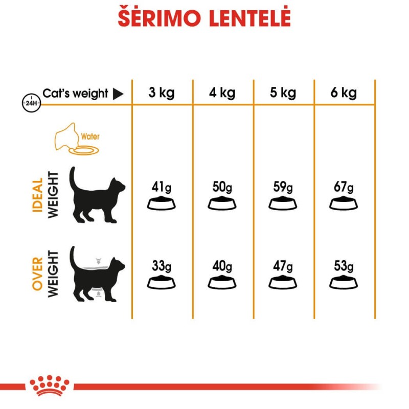Royal Canin Hair&Skin Care 4kg kassidele
