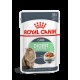 Royal Canin 0,4 kg Seedete hoolduskontroll kassidele