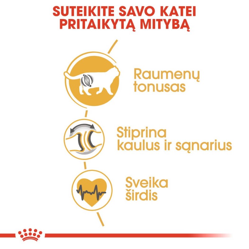 Royal Canin Briti lühikarvaline kassitoit 0,4kg