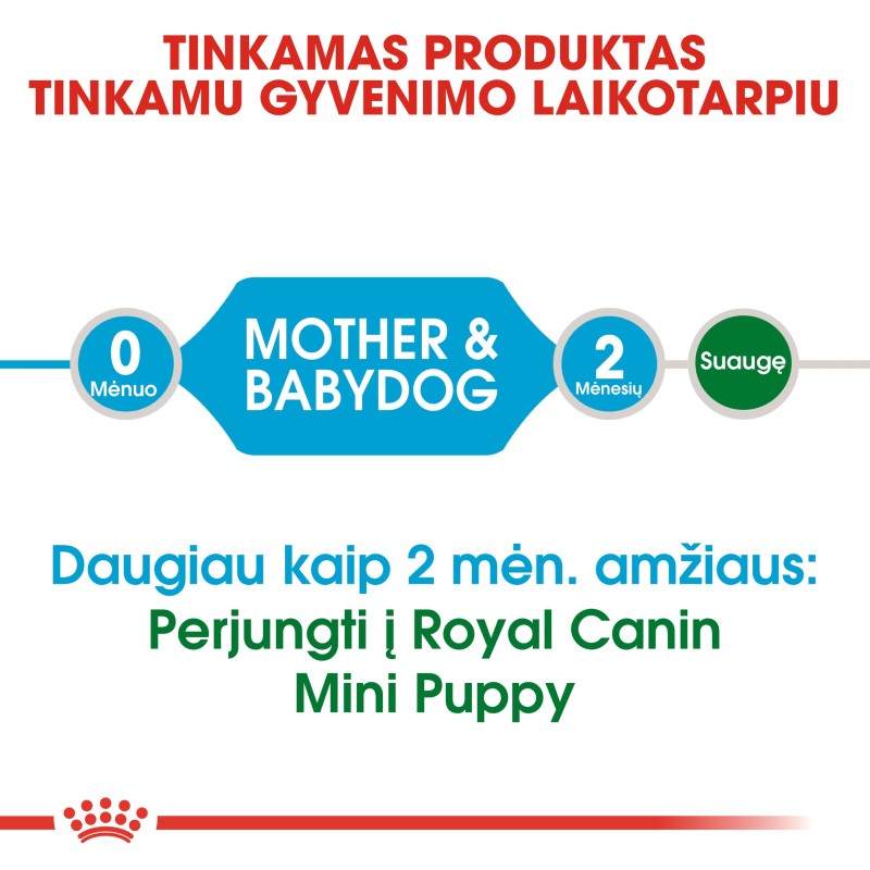Royal Canin Mini Starter Puppy 1,0kg