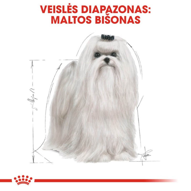 Royal Canin Maltese täiskasvanud koeratoit 1,5 kg