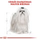 Royal Canin Maltese täiskasvanud koeratoit 1,5 kg
