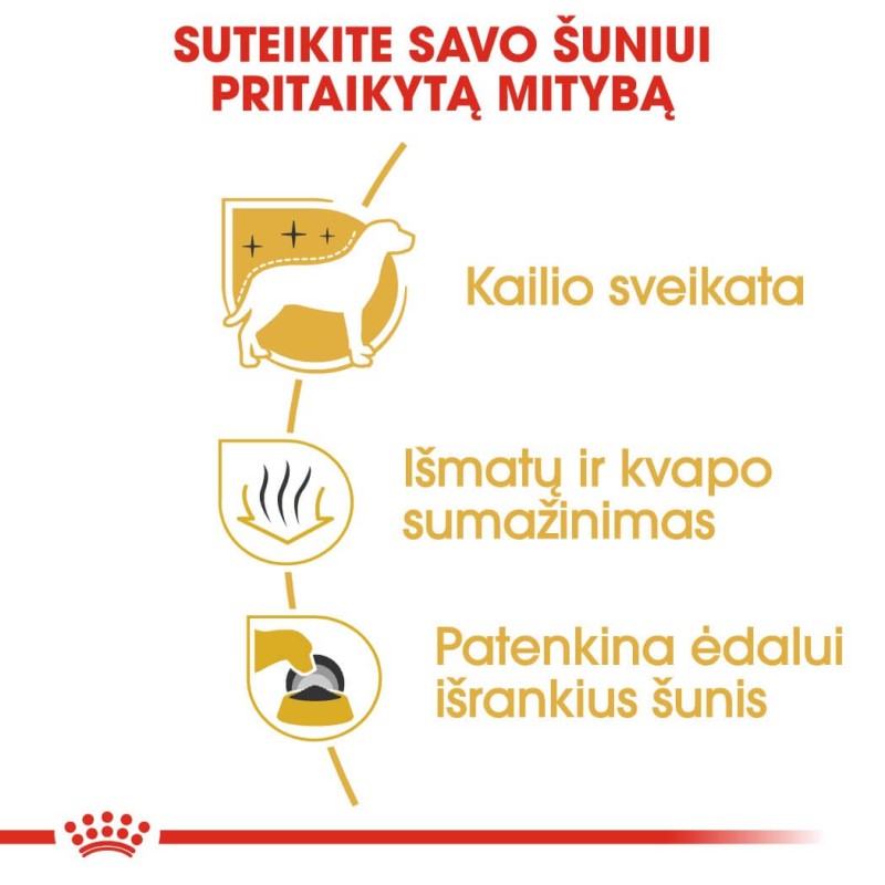 Royal Canin Maltese täiskasvanud koeratoit 1,5 kg