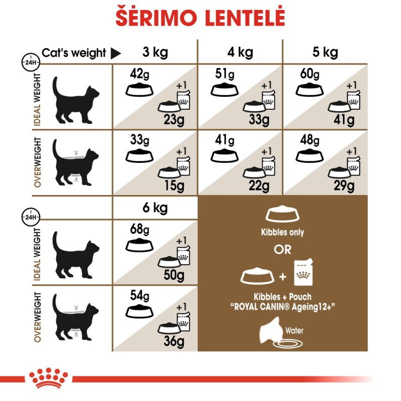 Royal Canin Senior Ageing 12+ kassidele 0,4kg
