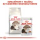 Royal Canin Senior Ageing 12+ kuivtoit kassidele 2kg