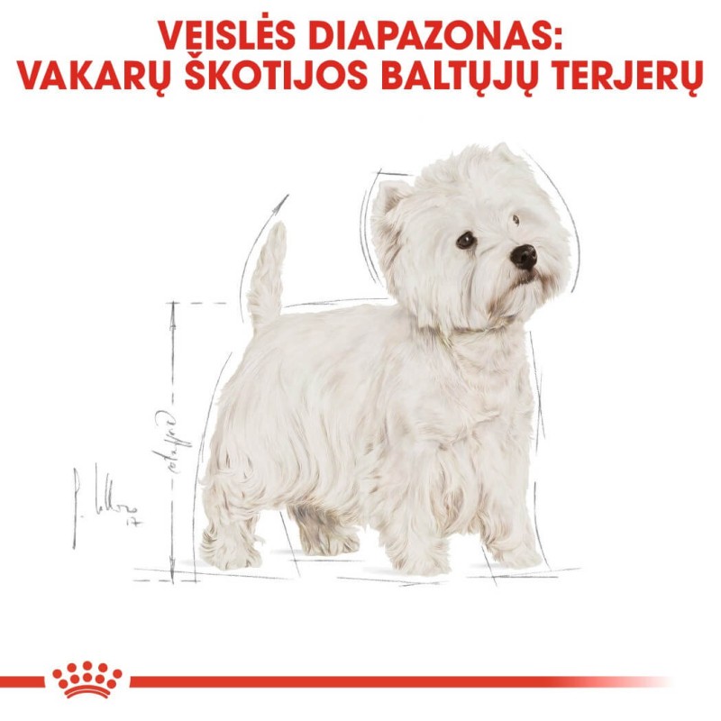Royal Canin West Highland White Terrier Täiskasvanud Koertele 3kg