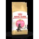 Royal Canin Maine Coon Kassipoegade Kuivtoit 2kg