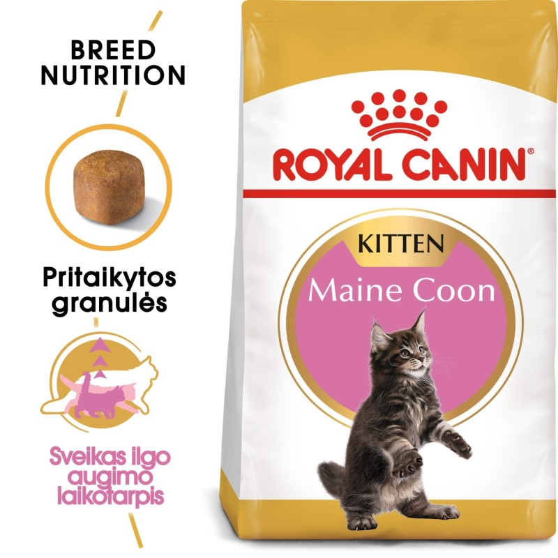 Royal Canin Maine Coon Kassipoegade Kuivtoit 2kg