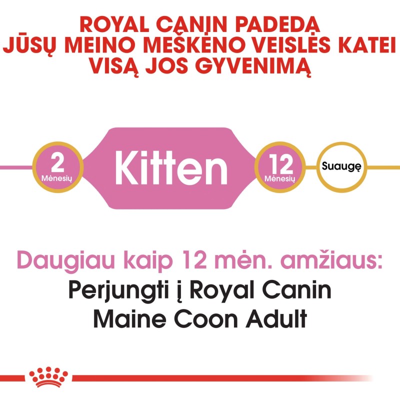 Royal Canin Maine Coon Kassipoegade Kuivtoit 2kg