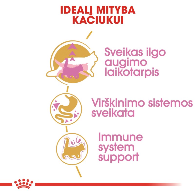 Royal Canin Maine Coon Kassipoegade Kuivtoit 2kg