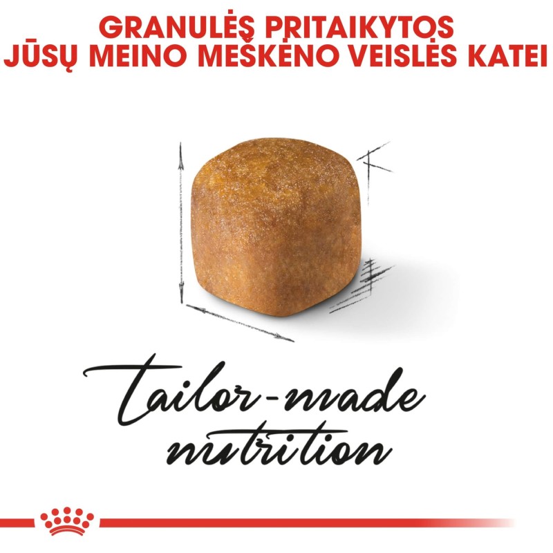 Royal Canin Maine Coon Kassipoegade Kuivtoit 2kg