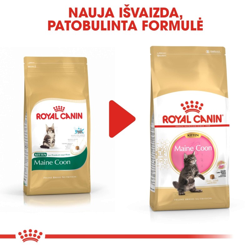 Royal Canin Maine Coon Kassipoegade Kuivtoit 2kg