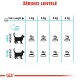 Royal Canin Urinary Care 4kg kassidele