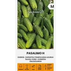 Cucumber (Gherkin) Pasalimo H