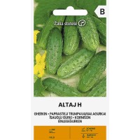 Kurk Altaj F1