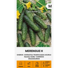 Cucumber (Gherkin) Merengue H