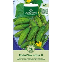 Kurk Rodničiok Natur F1