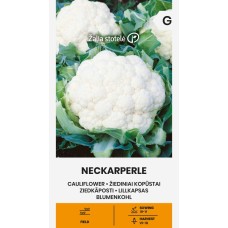 Lillkapsas Neckarperle