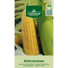 Suhkrumais Zlota Karlowa