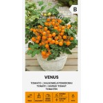 Tomat Venus