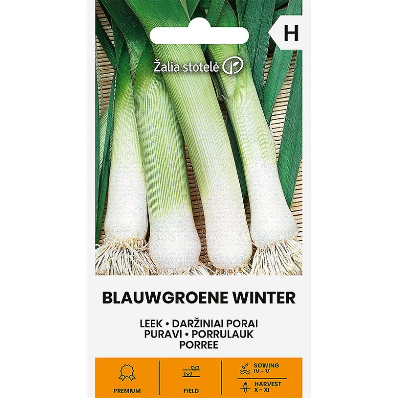 Porrulauk Blauwgroene Winter (Forrest)