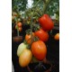 Tomat Granadero F1